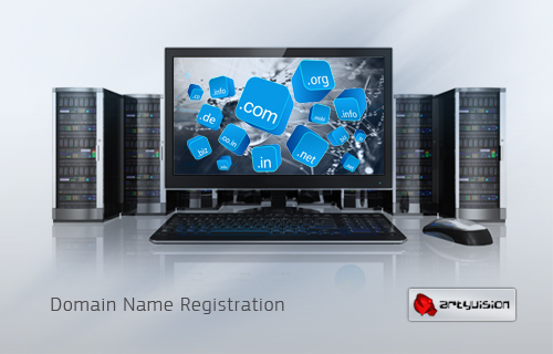 Domain Name Registration